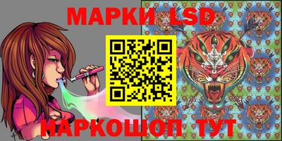 СК Ирбит