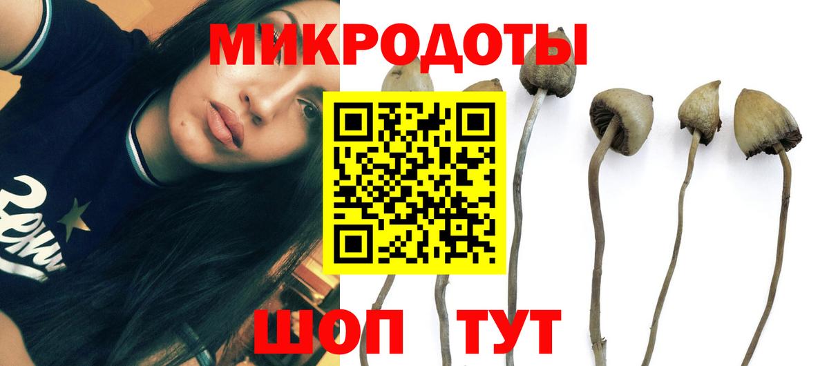 Лабытнанги  Псилоцибиновые грибы Cubensis  Вход с VPN 